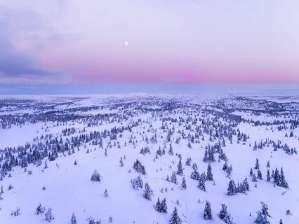 Magical Healing Sleep Music