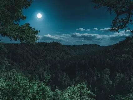 Magical Journey For Deep Sleep