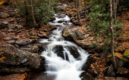 Magical Journey For Healing, Relaxation And Insight