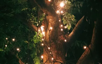 Magical Journey Through The Past Year (Live With Chimes)