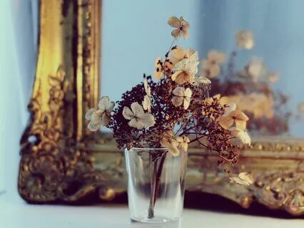 Magical Mirror: An Enchanted Sleep Story