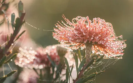 Magical Morning - Be Kind To Yourself