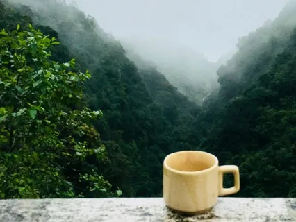 Magical Morning Meditation