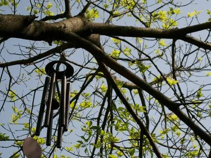 Magical Morning: Wind Chime Symphony