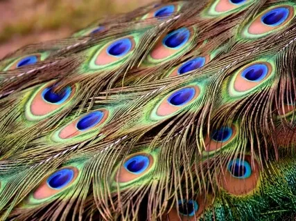 Magical Music Box - Exotic Cosmic Harp Journey