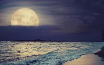 Magical Night: Pure Deep Sleep Music