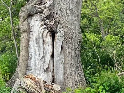 Magical Portals With A Message
