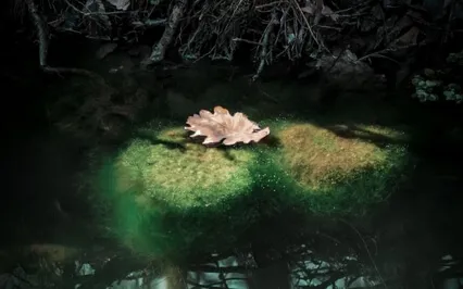 Magical Sleep Meditation For Children