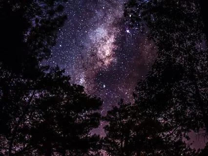 Magical Soft Calming Music