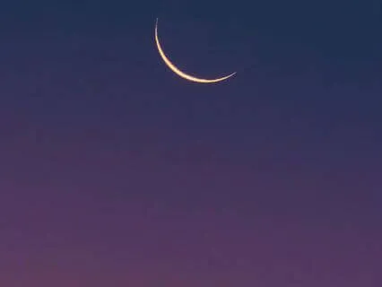 Magical Sounds From Above