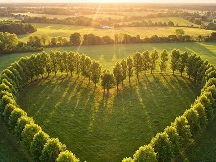 Magnetic Heart Charisma Boost Meditation