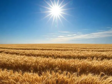 Magnetic Heart Meditation - Deep Connection With Your Heart