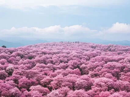 Magnetic Heart Meditation For Having Practice