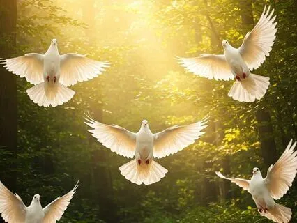 Magnetic Heart Meditation For Love Momentum