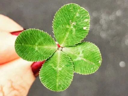 Magnetic Luck: Lucky Syndrome Affirmations 777 Hz