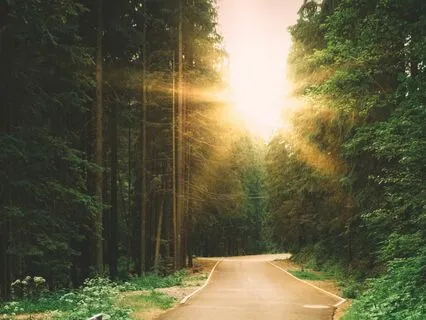 Magnetic Manifestation