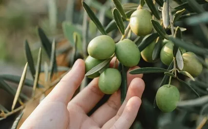 Magnetising Infinite Abundance