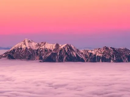 Magnetism - Return To Heart - A Pink Light Journey