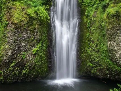 Magnetize Your Desires: A Powerful Manifestation Activation