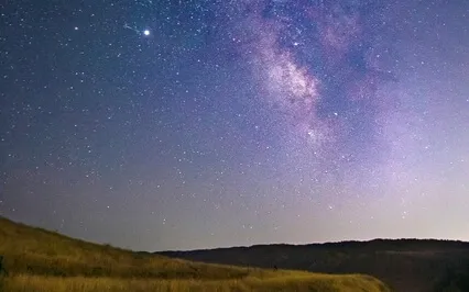 Magnetize Your Optimum Timeline