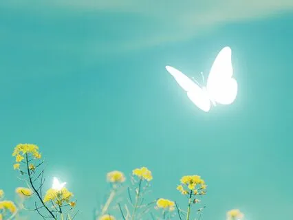 Magnificent Me Meditation 528 Hz