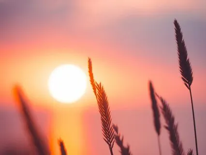 Magnificent Morning Meditation