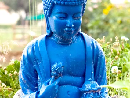 Magnify Your Purpose