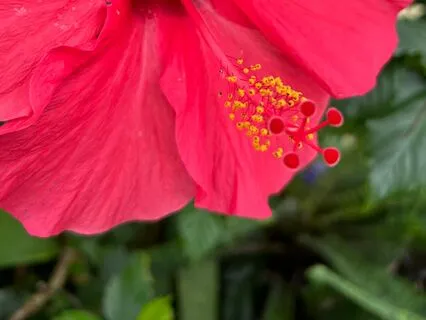 Maha Mitryunjaya Mantra For Protection And Courage