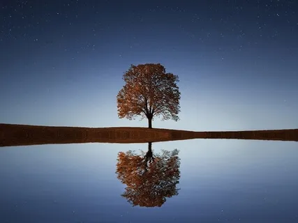 Майндфулнесс Для Работы с Болью