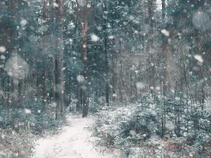 Maine Winter Blizzard ASMR | 8 Hours For Deep Sleep