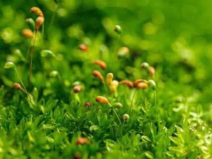 Maintaining Self-Care During Stressful Times