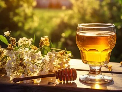 Majikal Mead The Ancient Elixir Of The Gods - Wizard Wisdom