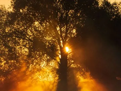 Make A New Intentional Choice