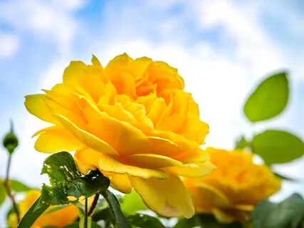 Make Drama Your Friend