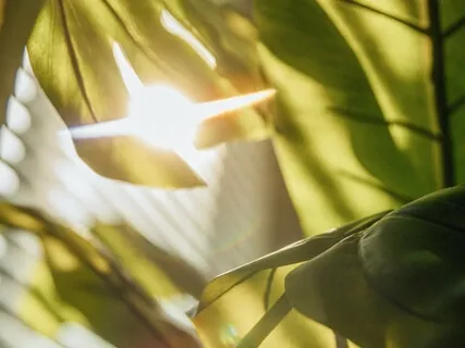 Make Friends With Fear For Surgery (Long) 