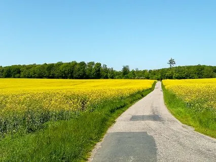 Make friends with relaxation 