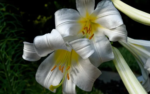 Make Friends With Yourself (No Music)