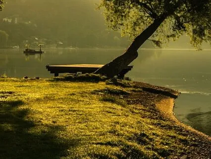 Make Gratitude Your Resting State