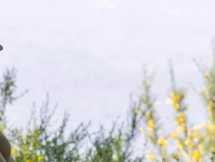 Make Haste Slowly: How The Nervous System Really Heals