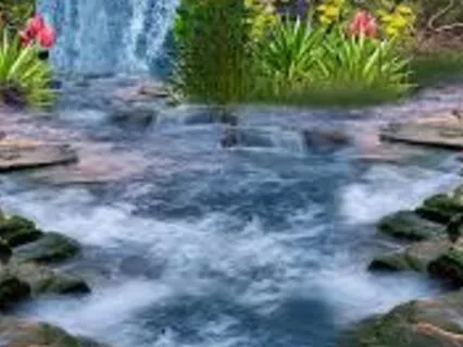 Make It Rain! Blossoming Abundance!  