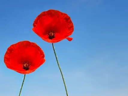 Make L.O.V.E. | Isochronic Music For Special Occasions