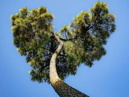 Make Love To The Earth Today