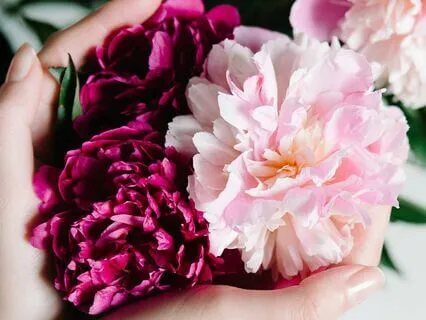 Make Money Doing What You Love (For Entrepreneurs)