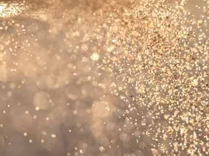 Make More Money Insight Timer Live Replay