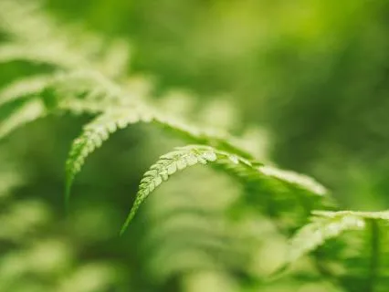 Make Peace With Money: EFT Tapping For Abundance — Day 5