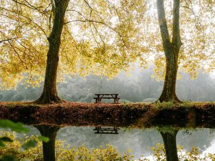 Make Peace With The Season You’re In