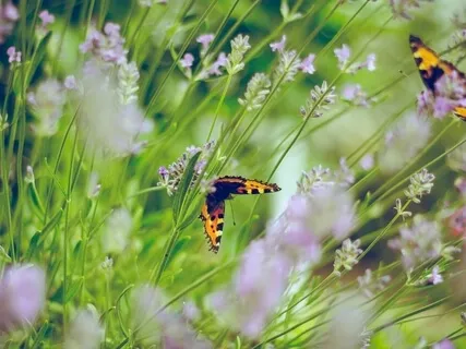 Make Peace With Yourself In Anxious Times