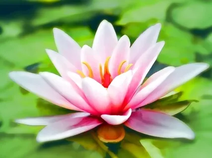 Make Peace Your Priority