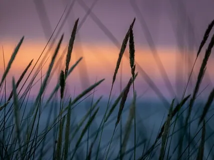 Make Space - Find Stillness