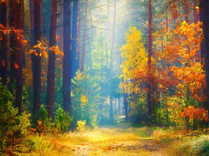 Make The Best Decision